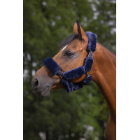Conjunto para cabresto Equithème Teddy Azul-marinho Conjunto para cabresto Equithème Teddy Azul-marinho