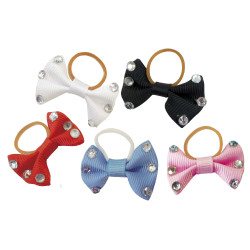 Laços para tranças Equithème com strass transparentes Laços para tranças Equithème com strass transparentes