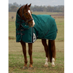 Manta Weatherbeeta ComFiTec Dynamic Turnout 220g com pescoço destacável Verde floresta / azul-marinho