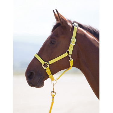 Caveção de nylon Topaz Shires Amarelo
