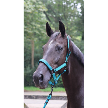 Corda de amarração Lami-Cell Charming Turquesa Azul Corda de amarração Lami-Cell Charming Turquesa Azul