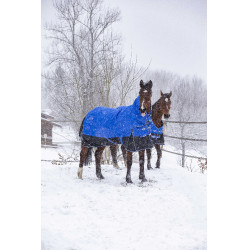 Cobertura Equithème Tyrex Aisance 1200D Pescoço Alto Azul royal