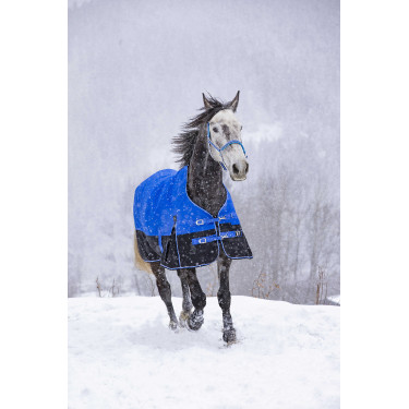 Cobertura Equithème Tyrex Aisance 1200D Pescoço Alto Azul royal Cobertura Equithème Tyrex Aisance 1200D Pescoço Alto Azul royal