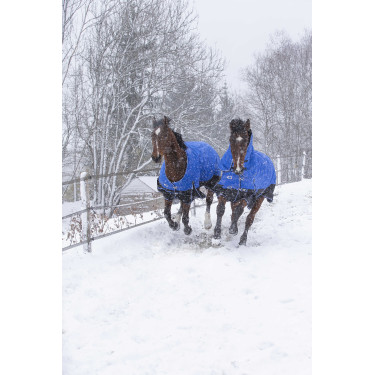 Cobertura Equithème Tyrex Aisance 1200D Pescoço Alto Azul royal Cobertura Equithème Tyrex Aisance 1200D Pescoço Alto Azul royal