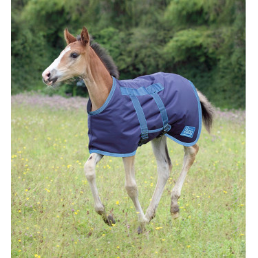 Cobertura para potro Tempest Shires Marinho / turquesa Azul