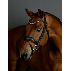 Bridão de dressage Collegiate ComFiTec Opulux acolchoado Preto