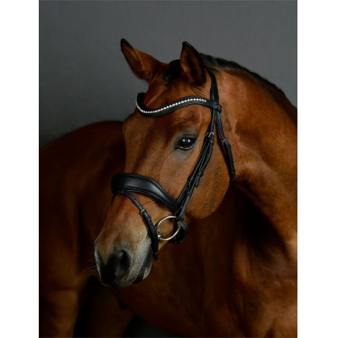 Bridão de dressage Collegiate ComFiTec Opulux acolchoado Preto Bridão de dressage Collegiate ComFiTec Opulux acolchoado Preto