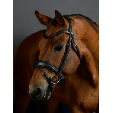 Bridão de dressage Collegiate ComFiTec Opulux acolchoado Preto Bridão de dressage Collegiate ComFiTec Opulux acolchoado Preto