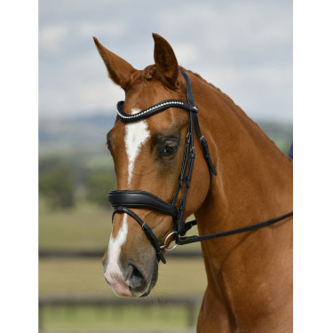 Bridão de dressage Collegiate ComFiTec Opulux acolchoado Preto Bridão de dressage Collegiate ComFiTec Opulux acolchoado Preto