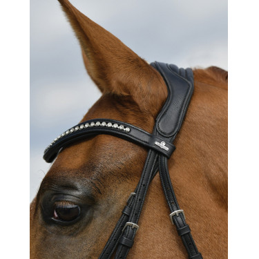 Bridão de dressage Collegiate ComFiTec Opulux acolchoado Preto Bridão de dressage Collegiate ComFiTec Opulux acolchoado Preto