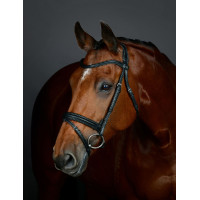 Bridão Flash hanoveriano Collegiate ComFiTec Opulux simples acolchoado Preto Bridão Flash hanoveriano Collegiate ComFiTec Opulux simples acolchoado Preto
