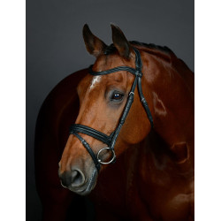Bridão Flash hanoveriano Collegiate ComFiTec Opulux simples acolchoado Preto