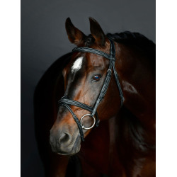 Bridão hanoveriano Collegiate acolchoado ComFiTec Opulux Fancy Stitch Preto