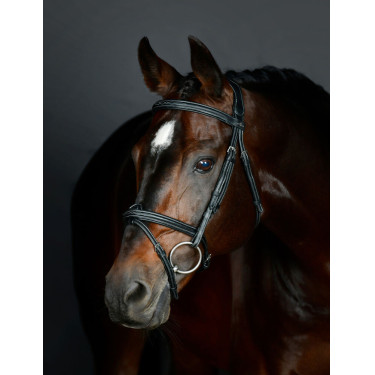 Bridão hanoveriano Collegiate acolchoado ComFiTec Opulux Fancy Stitch Preto Bridão hanoveriano Collegiate acolchoado ComFiTec Opulux Fancy Stitch Preto