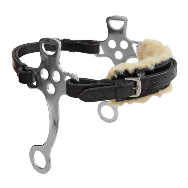 Hackamore Blenheim Shires Hackamore Blenheim Shires