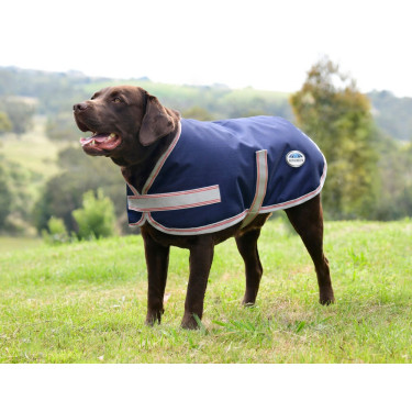 Capa para cão Weatherbeeta ComFiTec Essential Marinho / prata / vermelho Azul Capa para cão Weatherbeeta ComFiTec Essential Marinho / prata / vermelho Azul