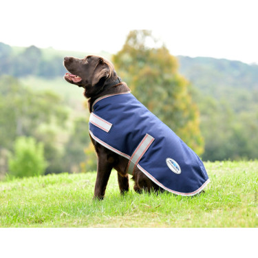 Capa para cão Weatherbeeta ComFiTec Essential Marinho / prata / vermelho Azul Capa para cão Weatherbeeta ComFiTec Essential Marinho / prata / vermelho Azul