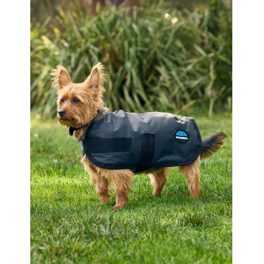 Manta impermeável para cão Weatherbeeta ComFiTec Classic Carvão vegetal Cinzento Manta impermeável para cão Weatherbeeta ComFiTec Classic Carvão vegetal Cinzento