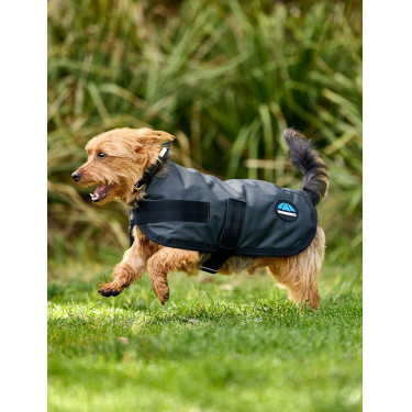 Manta impermeável para cão Weatherbeeta ComFiTec Classic Carvão vegetal Cinzento Manta impermeável para cão Weatherbeeta ComFiTec Classic Carvão vegetal Cinzento