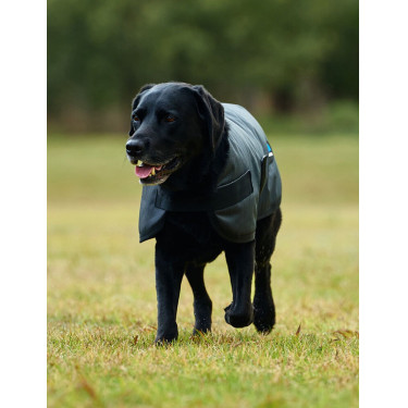 Manta impermeável para cão Weatherbeeta ComFiTec Classic Carvão vegetal Cinzento Manta impermeável para cão Weatherbeeta ComFiTec Classic Carvão vegetal Cinzento