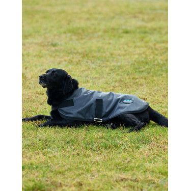 Manta impermeável para cão Weatherbeeta ComFiTec Classic Carvão vegetal Cinzento Manta impermeável para cão Weatherbeeta ComFiTec Classic Carvão vegetal Cinzento