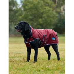 Capa impermeável para cão Weatherbeeta ComFiTec Premier Deluxe Borgonha / marinho