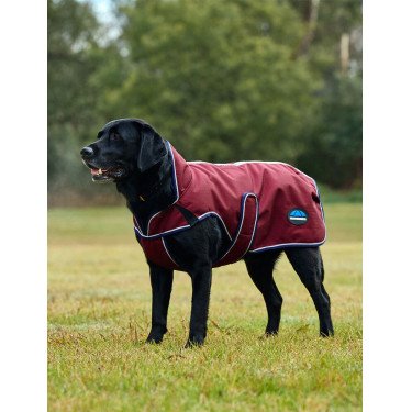 Capa impermeável para cão Weatherbeeta ComFiTec Premier Deluxe Borgonha / marinho Capa impermeável para cão Weatherbeeta ComFiTec Premier Deluxe Borgonha / marinho