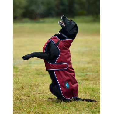 Capa impermeável para cão Weatherbeeta ComFiTec Premier Deluxe Borgonha / marinho Capa impermeável para cão Weatherbeeta ComFiTec Premier Deluxe Borgonha / marinho