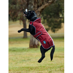 Capa impermeável para cão Weatherbeeta ComFiTec Premier Deluxe Borgonha / marinho Capa impermeável para cão Weatherbeeta ComFiTec Premier Deluxe Borgonha / marinho