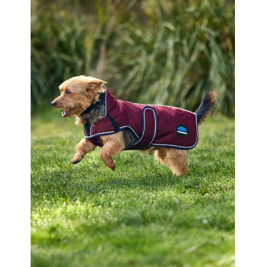 Capa impermeável para cão Weatherbeeta ComFiTec Premier Deluxe Borgonha / marinho Capa impermeável para cão Weatherbeeta ComFiTec Premier Deluxe Borgonha / marinho