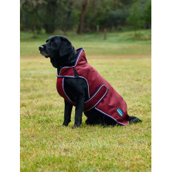 Capa impermeável para cão Weatherbeeta ComFiTec Premier Deluxe Borgonha / marinho Capa impermeável para cão Weatherbeeta ComFiTec Premier Deluxe Borgonha / marinho