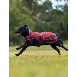 Capa impermeável para cão Weatherbeeta ComFiTec Premier Deluxe Borgonha / marinho Capa impermeável para cão Weatherbeeta ComFiTec Premier Deluxe Borgonha / marinho