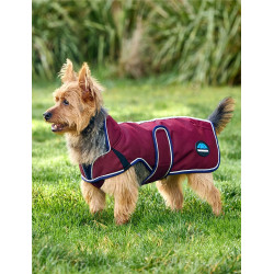 Capa impermeável para cão Weatherbeeta ComFiTec Premier Deluxe Borgonha / marinho Capa impermeável para cão Weatherbeeta ComFiTec Premier Deluxe Borgonha / marinho