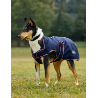Capa impermeável para cão Weatherbeeta ComFiTec Premier Deluxe Azul-marinho/bordô