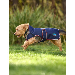 Capa impermeável para cão Weatherbeeta ComFiTec Premier Deluxe Azul-marinho/bordô Capa impermeável para cão Weatherbeeta ComFiTec Premier Deluxe Azul-marinho/bordô