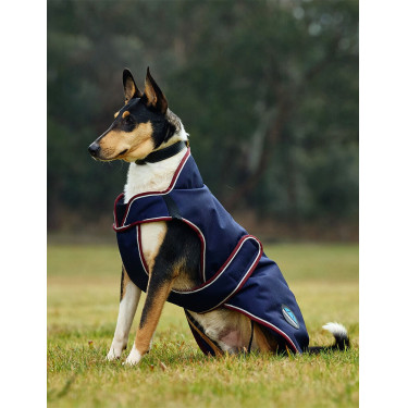 Capa impermeável para cão Weatherbeeta ComFiTec Premier Deluxe Azul-marinho/bordô Capa impermeável para cão Weatherbeeta ComFiTec Premier Deluxe Azul-marinho/bordô