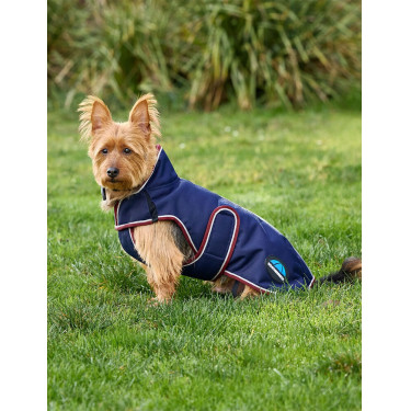 Capa impermeável para cão Weatherbeeta ComFiTec Premier Deluxe Azul-marinho/bordô Capa impermeável para cão Weatherbeeta ComFiTec Premier Deluxe Azul-marinho/bordô