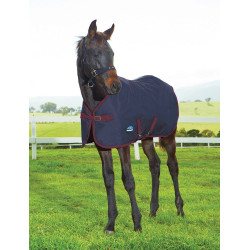 Manta para potro Weatherbeeta 1200D 220g Azul-marinho/bordô