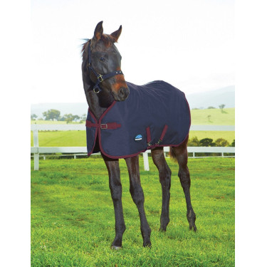 Manta para potro Weatherbeeta 1200D 220g Azul-marinho/bordô Manta para potro Weatherbeeta 1200D 220g Azul-marinho/bordô