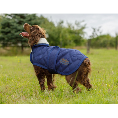 Cobertor para cão Weatherbeeta ComFiTec Deluxe Diamond Quilt Marinho Azul-marinho Cobertor para cão Weatherbeeta ComFiTec Deluxe Diamond Quilt Marinho Azul-marinho
