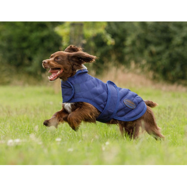 Cobertor para cão Weatherbeeta ComFiTec Deluxe Diamond Quilt Marinho Azul-marinho Cobertor para cão Weatherbeeta ComFiTec Deluxe Diamond Quilt Marinho Azul-marinho