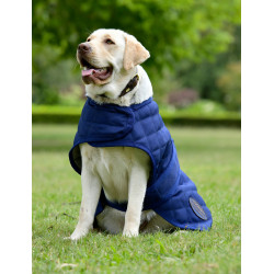 Cobertor para cão Weatherbeeta ComFiTec Deluxe Diamond Quilt Marinho Azul-marinho Cobertor para cão Weatherbeeta ComFiTec Deluxe Diamond Quilt Marinho Azul-marinho