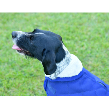 Cobertor para cão Weatherbeeta ComFiTec Deluxe Diamond Quilt Marinho Azul-marinho Cobertor para cão Weatherbeeta ComFiTec Deluxe Diamond Quilt Marinho Azul-marinho
