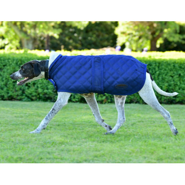 Cobertor para cão Weatherbeeta ComFiTec Deluxe Diamond Quilt Marinho Azul-marinho Cobertor para cão Weatherbeeta ComFiTec Deluxe Diamond Quilt Marinho Azul-marinho