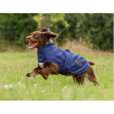 Cobertor para cão Weatherbeeta ComFiTec Deluxe Diamond Quilt Marinho Azul-marinho Cobertor para cão Weatherbeeta ComFiTec Deluxe Diamond Quilt Marinho Azul-marinho