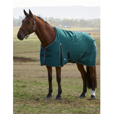 Cobertura Weatherbeeta ComFiTec Classic Turnout 220g Verde floresta / preto Cobertura Weatherbeeta ComFiTec Classic Turnout 220g Verde floresta / preto