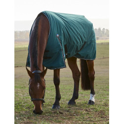 Cobertura Weatherbeeta ComFiTec Classic Turnout 220g Verde floresta / preto Cobertura Weatherbeeta ComFiTec Classic Turnout 220g Verde floresta / preto