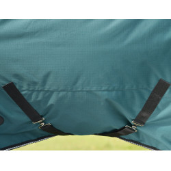 Cobertura Weatherbeeta ComFiTec Classic Turnout 220g Verde floresta / preto Cobertura Weatherbeeta ComFiTec Classic Turnout 220g Verde floresta / preto