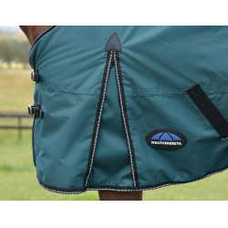 Cobertura Weatherbeeta ComFiTec Classic Turnout 220g Verde floresta / preto Cobertura Weatherbeeta ComFiTec Classic Turnout 220g Verde floresta / preto