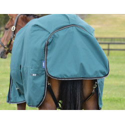Cobertura Weatherbeeta ComFiTec Classic Turnout 220g Verde floresta / preto Cobertura Weatherbeeta ComFiTec Classic Turnout 220g Verde floresta / preto